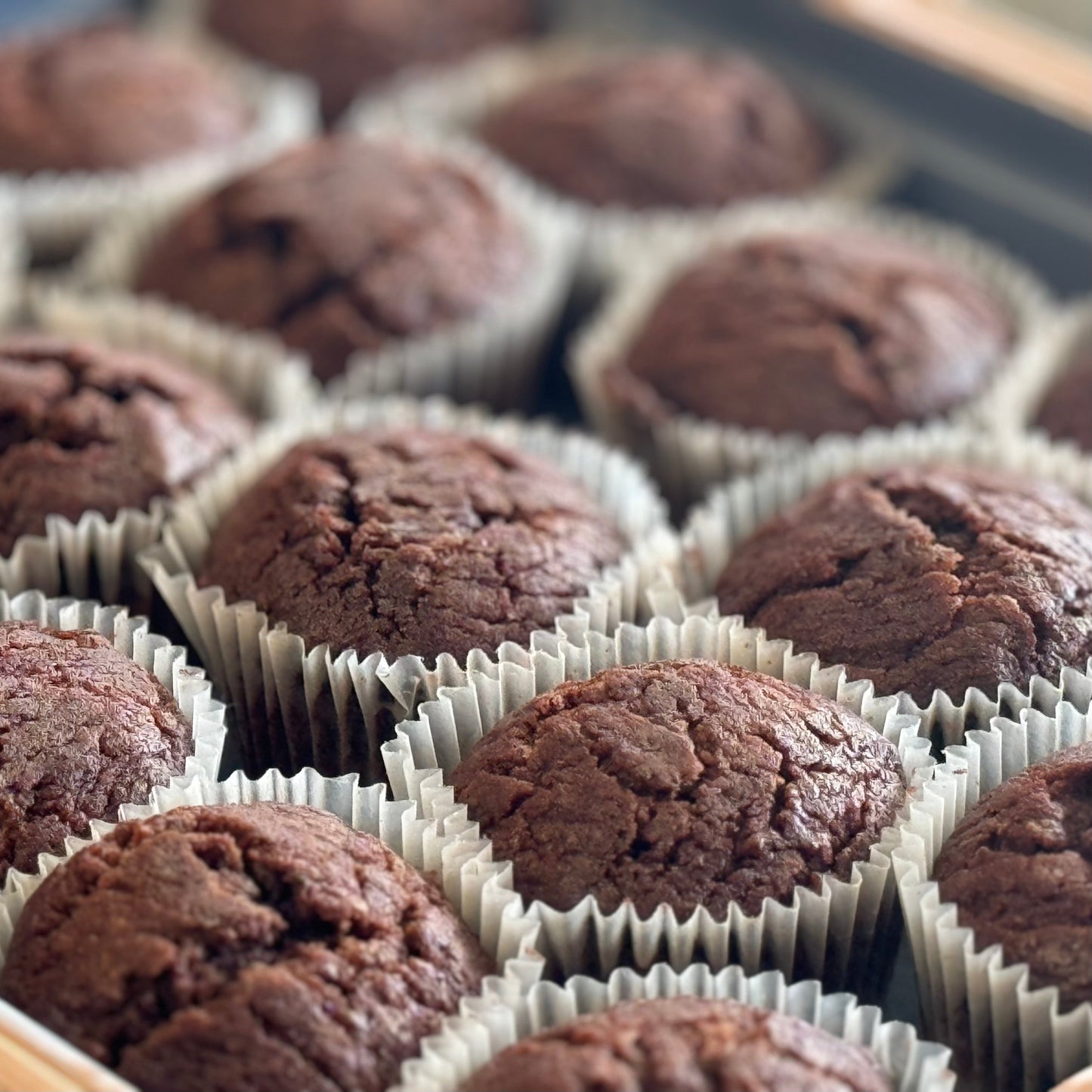BULK 12 x Tray Packs, Military MRE Chocolate Muffin, Ready to Eat