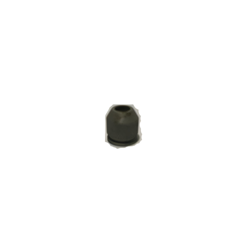Coleman Lantern Ball Nut