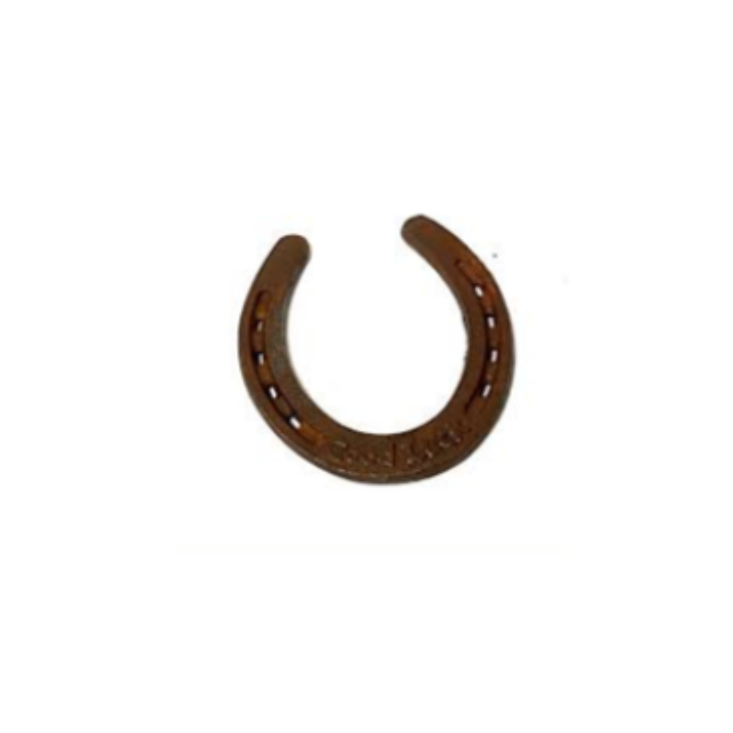Good Luck Horseshoe
