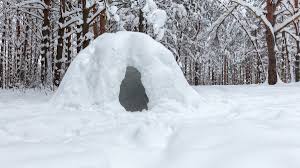 Building a Snow Shelter in the Wilderness