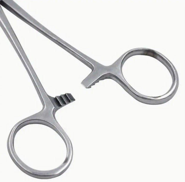 Curved Rainbow Forceps