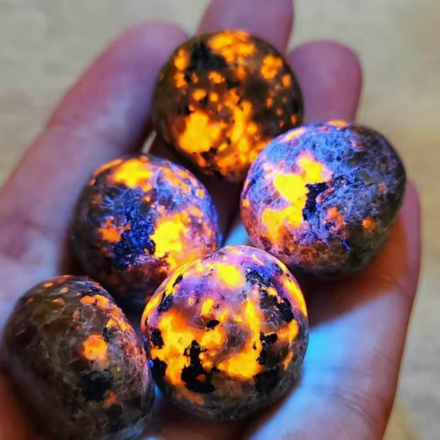 Polished Yooperlite - 5 Pack