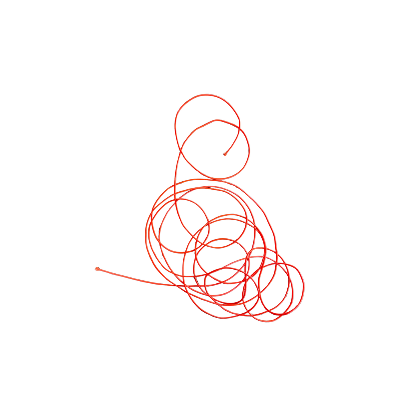 Shock Cord
