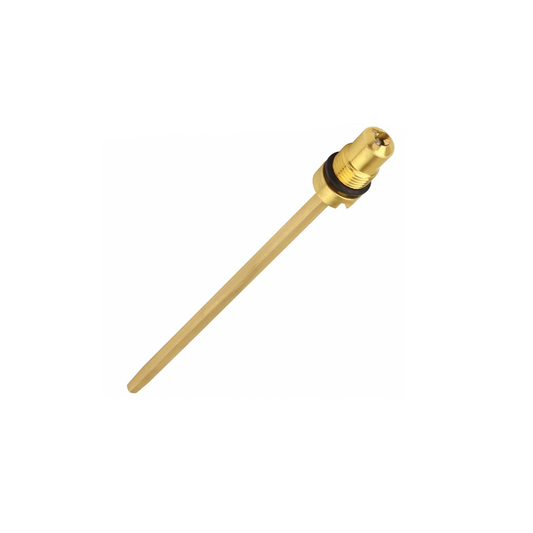 Check Valve and Air Stem Assembly